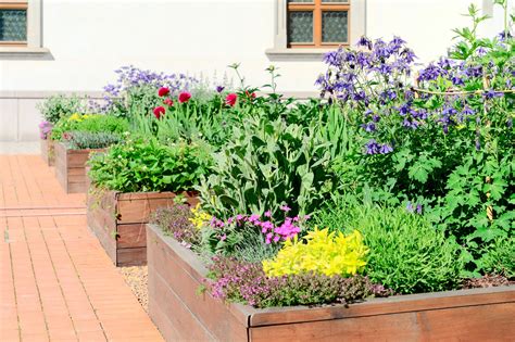 Edible landscaping - Edible landscapes are a movement in transition and sprouting up as a response to the slow food movement and living a greener lifestyle. These urban agricultural landscapes are fast becoming iconic ...